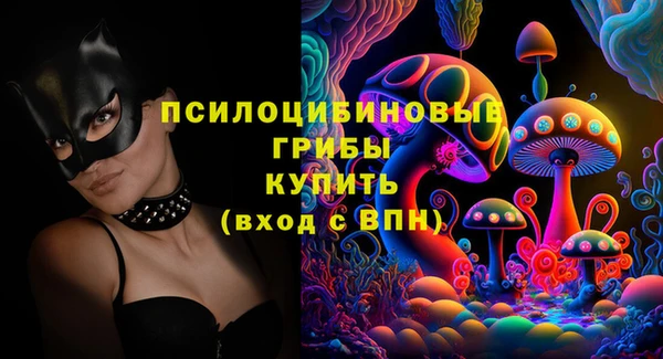 стафф Михайловка