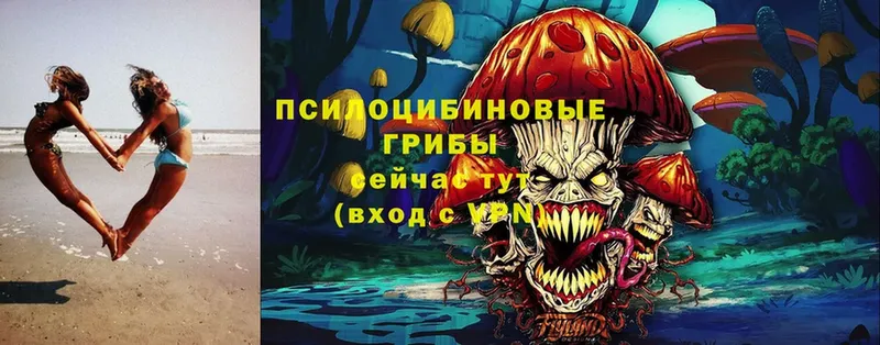 Псилоцибиновые грибы Magic Shrooms  Старая Купавна 