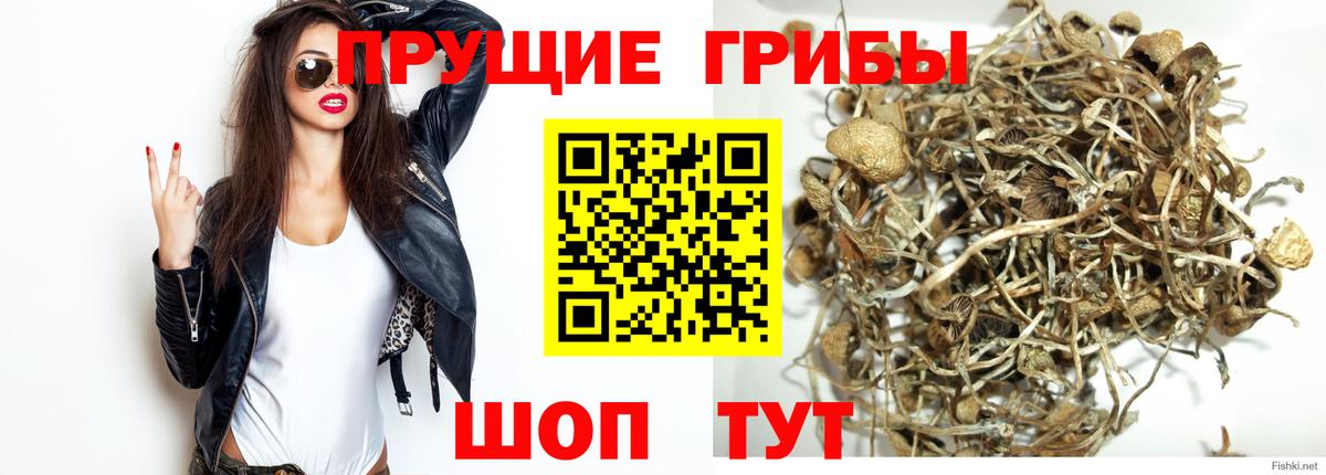 Галлюциногенные грибы GOLDEN TEACHER Старая Купавна