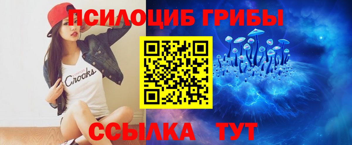Галлюциногенные грибы прущие грибы  Вход с VPN  Старая Купавна 