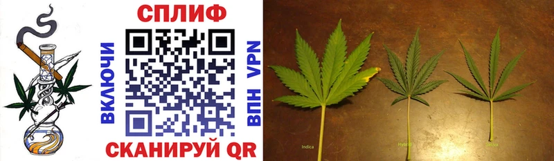 Конопля White Widow  Старая Купавна 