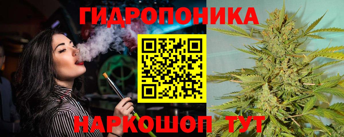 Бошки Шишки гибрид Старая Купавна